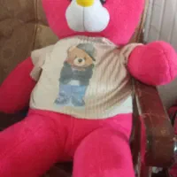 خرس تدی بزرگ