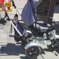 سه چرخه در حد نو