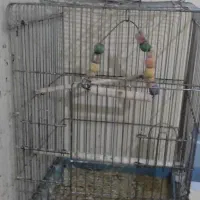 قفس کاسکویی بزرگ جنس ضخیم