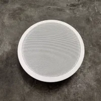 اسپیکر / باند سقفی ۸۰ وات مدل 801