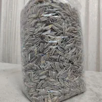 تخمه آفتابگردون درجه 1 امسالی ضمانتی