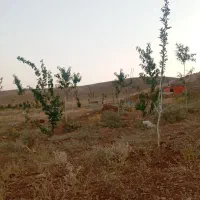 باغ-سه-ساله-اول-ازنا