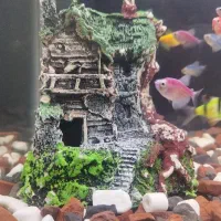 لوازم آکواریوم