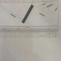 فروش زمین مسکونی(شهرک شاهین)|فروش زمین و ملک کلنگی|شاهین‌شهر, اقبال لاهوری|دیوار