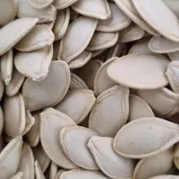 تخمه کدو|خوردنی و آشامیدنی|بهمن صغاد, |دیوار