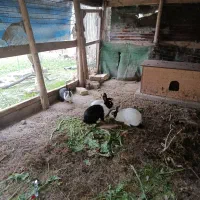 آدرس فومن دهستان رودپیش لاله ی دو