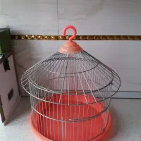 قفس طرقه|لوازم جانبی حیوانات|مشهد, تلگرد|دیوار