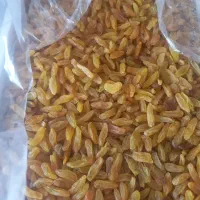 فروش ویژه کشمش سبز وزرد