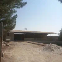 زمین کشاورزی جیلان اباد|فروش دفتر صنعتی، کشاورزی، تجاری|اصفهان, قهاب جنوبی|دیوار