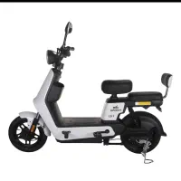 موتور برقی دارویت