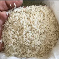 برنج صدری هاشمی