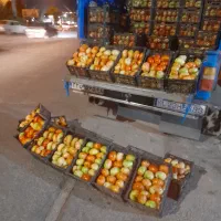 گوجه محلی