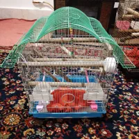 قفس پرنده کوچک