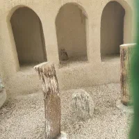 فروش-جاخونه-مسکونی