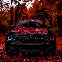 تعمیرات تخصصی برق و مکانیک ماشین سیار  سنندج