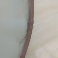 طبل استیل 160|درام و پرکاشن|باغستان, |دیوار