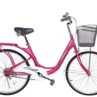 دوچرخه مخصوص بانوان