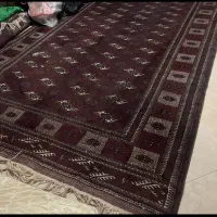 گنبد کاووس. فرشهای دستبافت ترکمن و پشمی