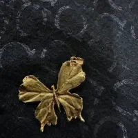 پلاک زیبای پروانه