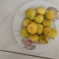 انجیرتازه