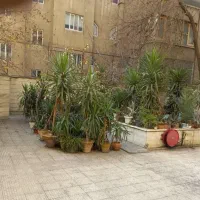 آپارتمان 119متری  قدر السهم دار