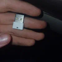 دانگل
