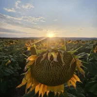 ب دو فروشنده خانم و آقا نیازمندیم