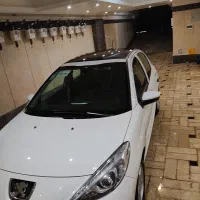 207 پانا ارتقاء یافته