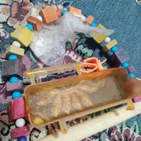 وسایل عروس هلندی