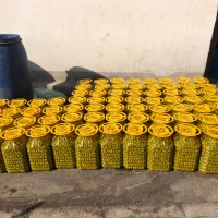 زیتون درشت طارم ارسال از تهران