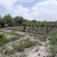 باغچه دو بهر مهرچین ملارد اماده ساخت