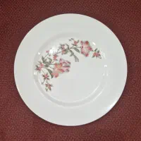 کرایه ظروف|ظروف سرو و پذیرایی|قم, پردیسان|دیوار