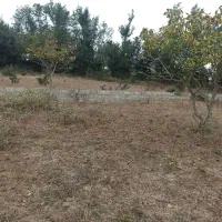 ۲۵۰ متر زمین در چشمکی روستای توریستی گنبک|فروش زمین و ملک کلنگی|توتکابن, |دیوار
