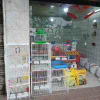 قفس پرندگان