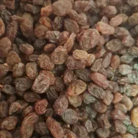 کشمش افتابی پاک شده بدون چمبه امساله