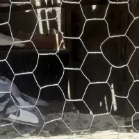 کبوتر روزگاری