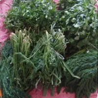 پاک کردن و خوردکردن سبزی در خانه