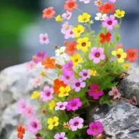 تخفیف ویژه کیف و ساعت