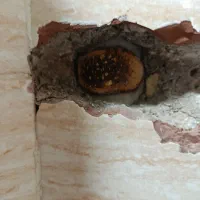 لوله کشی آب و فاضلاب تعمیرات و کلی