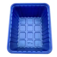 فروش ظرف قارچ