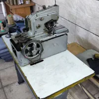 الیک ژوکی و مادگی چشمی مینروا