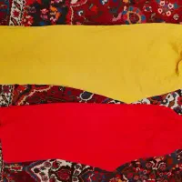 شلوار|لباس|اصفهان, باغ دریاچه|دیوار