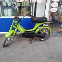 براوو مدل ۸۱