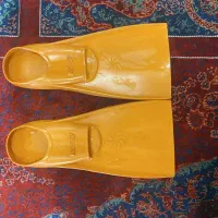 فین شنا مارک میسی سیپی