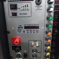 اکو همراه روژان
