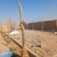 باغ چهار دیواری|فروش خانه و ویلا|اردکان, |دیوار