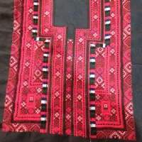 دوتا زیاستین