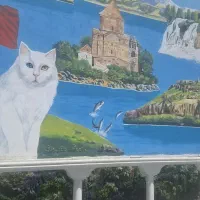 تور وان ترکیه از اصفهان