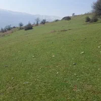 زمین-دو-هکتاری-خورگام-سند-تکبرگ