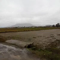 ویلا ۶۰۰ متری با بنای ۱۲۰ متر|فروش خانه و ویلا|صومعه‌سرا, |دیوار